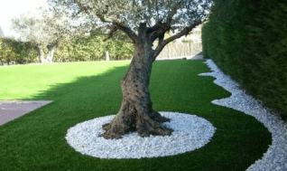 Entretien jardin